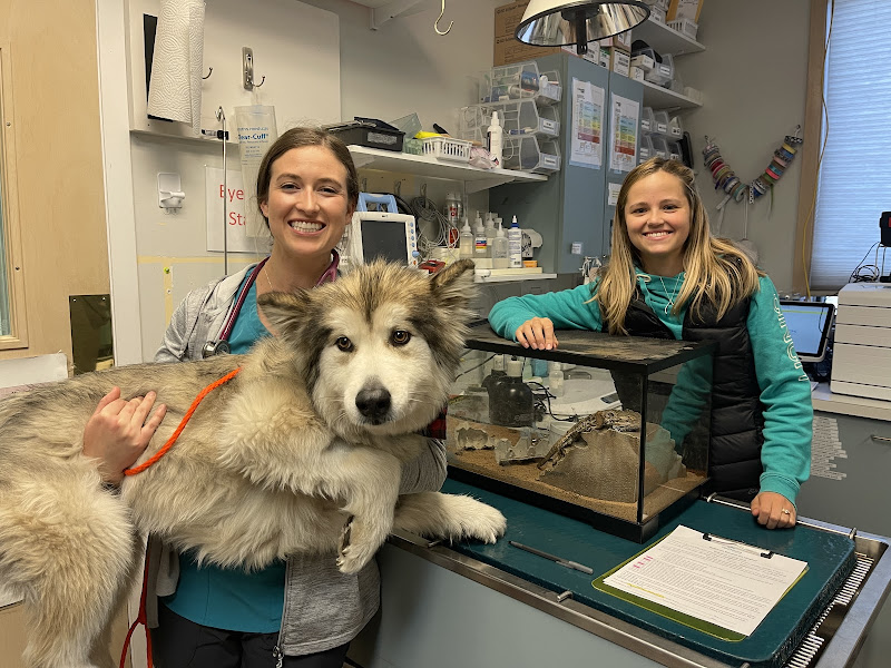 Bozeman Pet Hospital & Urgent Care