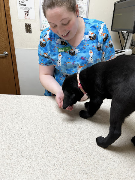 Prairie Animal Hospital - Veterinarian in Coeur d'Alene