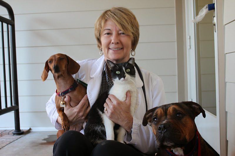 Patrick Veterinary Clinic - Veterinarian in Charleston
