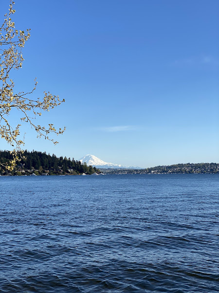 Camp Fire Pit - Picnic ground in Seattle