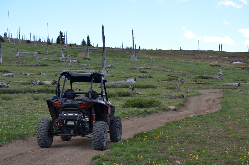 Colorado Sled Rentals