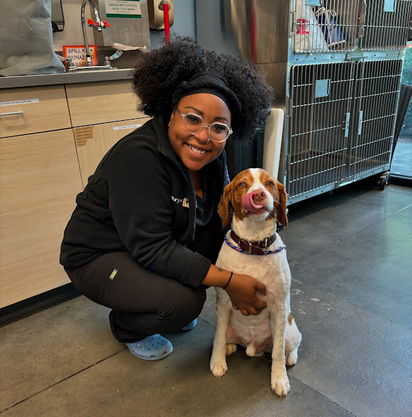 Thrive Pet Healthcare - Midtown - Veterinarian in Atlanta