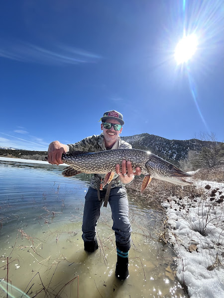 Aspen Trout Guides,Inc. - Hunting and fishing store in Aspen