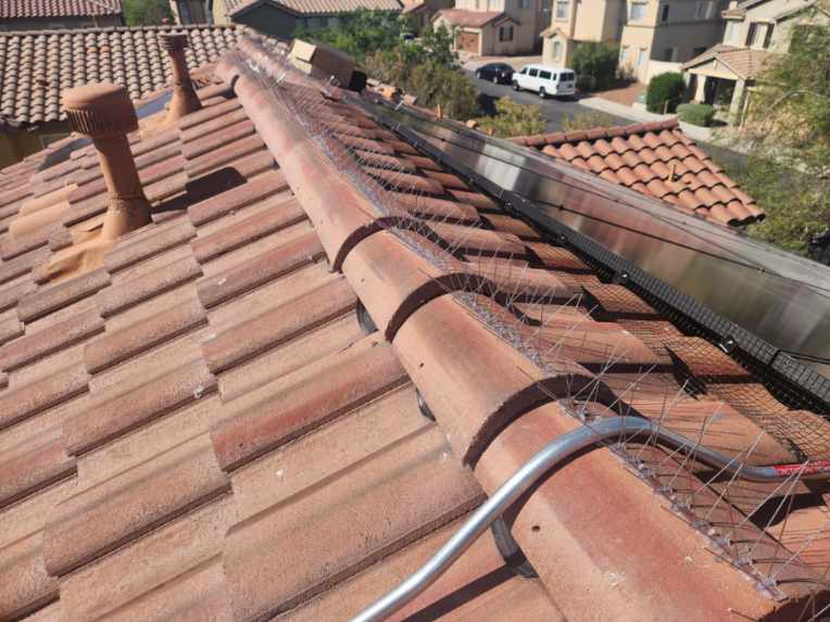 Essential Pest Control