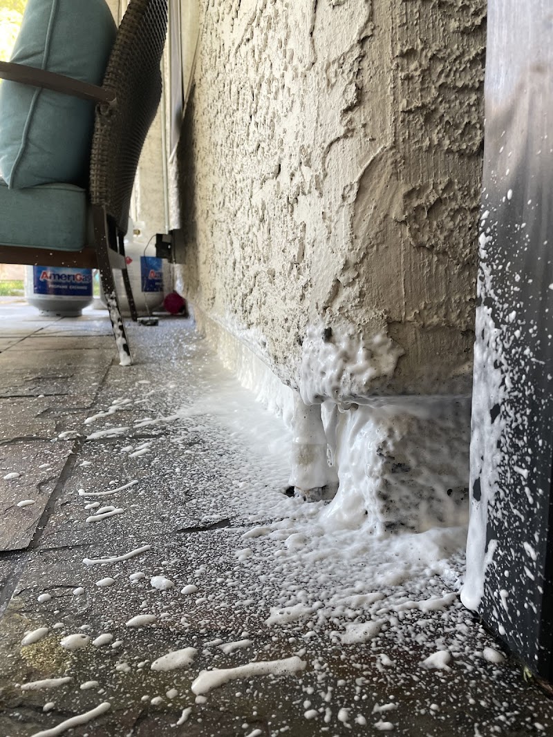 Essential Pest Control photo