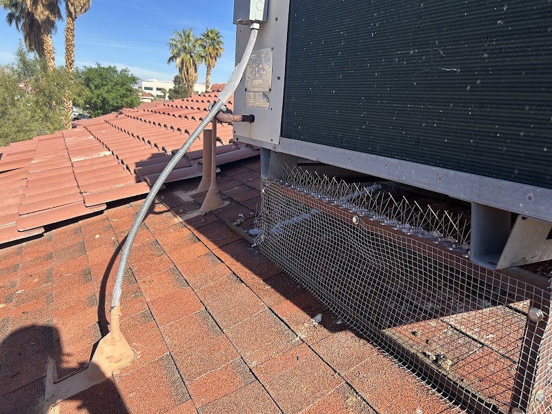 Essential Pest Control photo