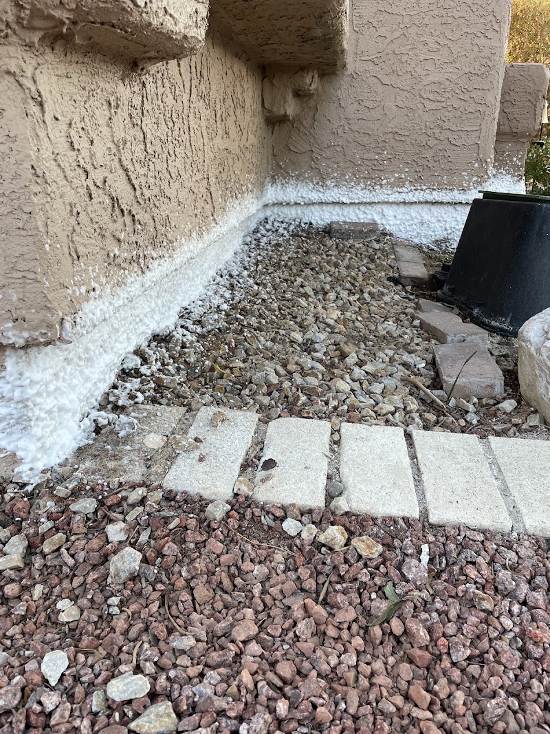 Essential Pest Control photo