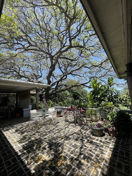 Diamond Head Bed & Breakfast