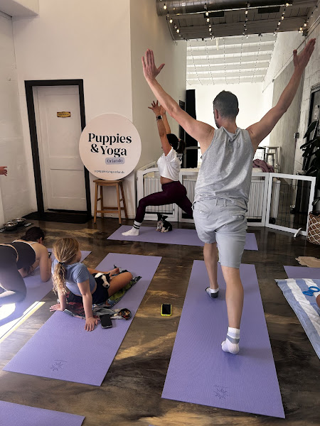 Puppy Yoga Orlando (Puppies Yoga)