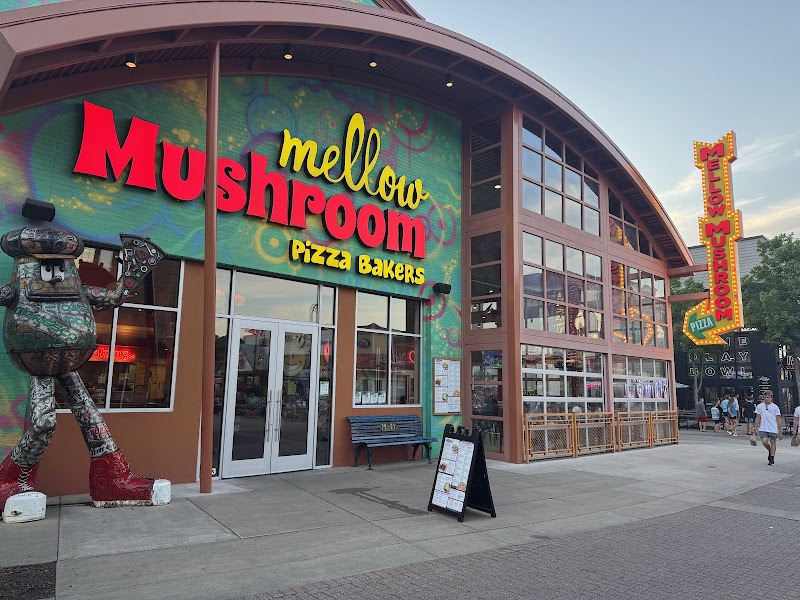 Mellow Mushroom Branson photo