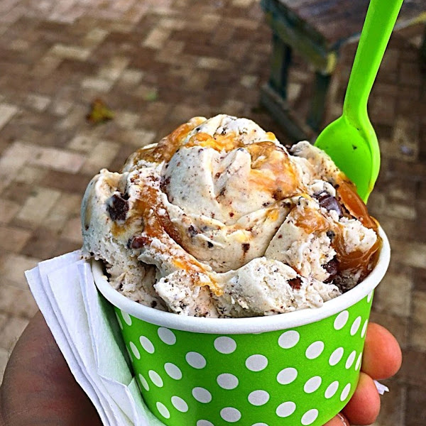 The Fat Donkey Ice Cream and Fine Desserts - Ice cream shop in Cocoa Beach