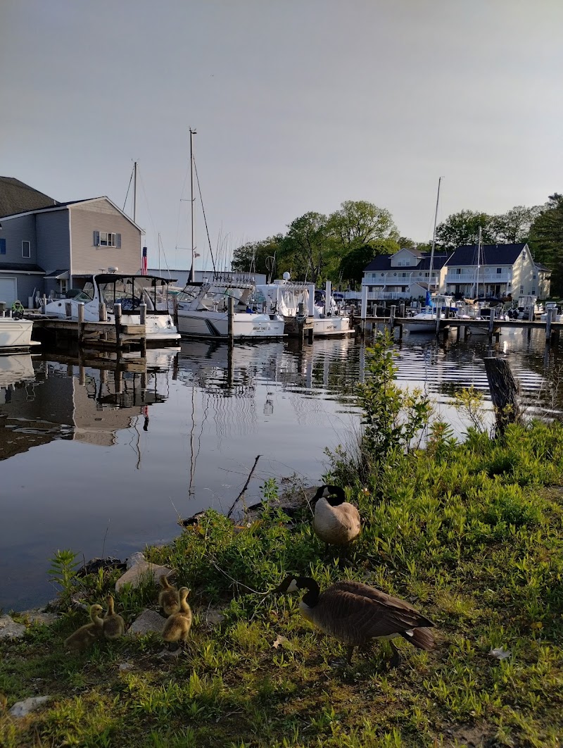 Slip Away Cove Marina and Residences - Marina in South Haven