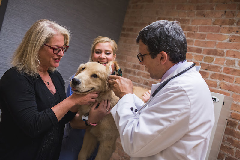 West Loop Veterinary Care - Veterinarian in Chicago