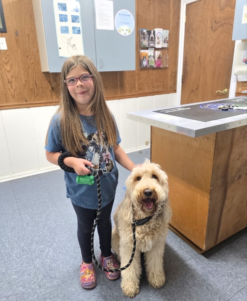 Moyock Animal Hospital Inc - Veterinarian in Moyock