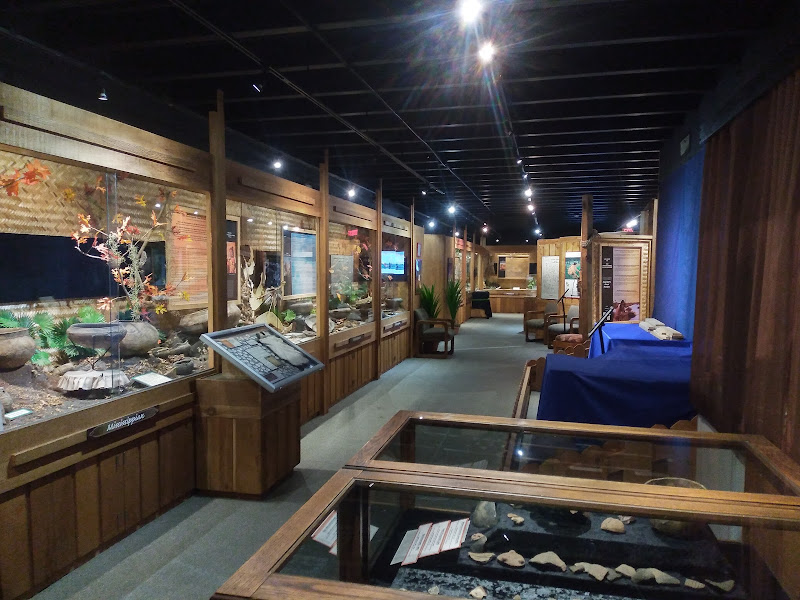 Indian Temple Mound Museum - Tourist attraction in Fort Walton Beach