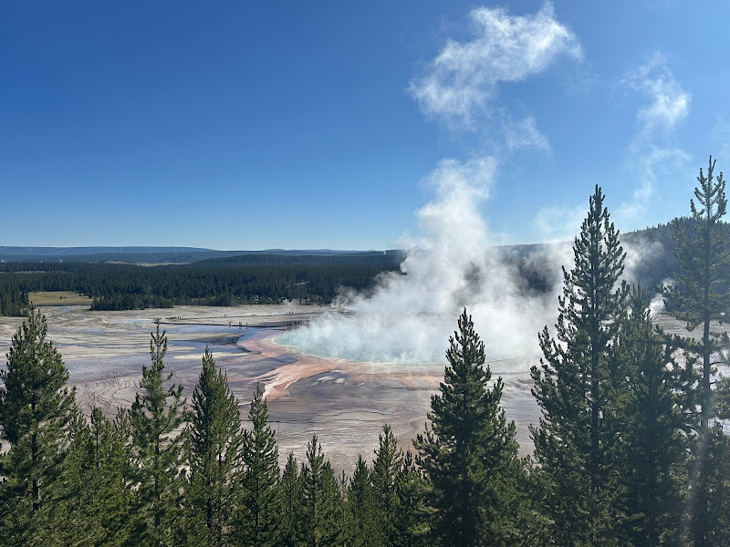 Yellowstone Luxury Tours