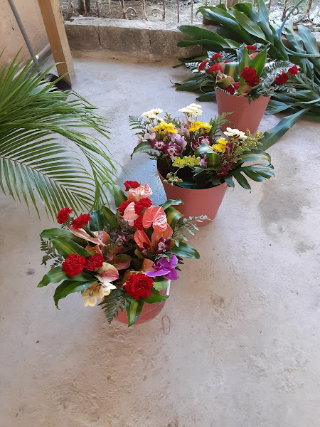Tropical Gardens Ltd - Garden center in Porto Bello Dr