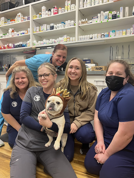 Memorial Beach Veterinary Hospital