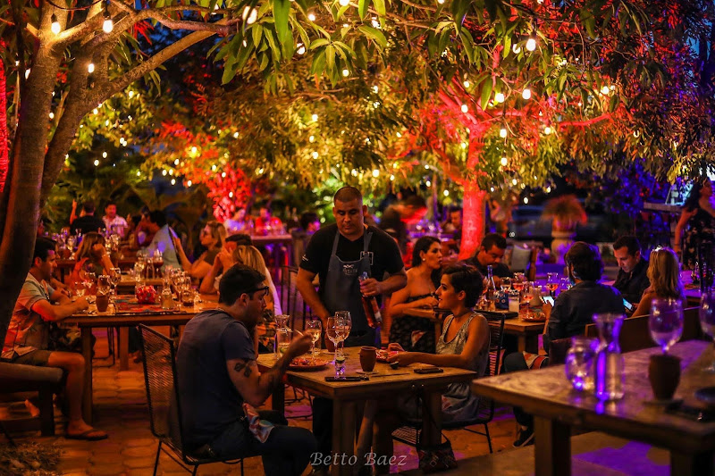 Metate Cabo - Mexican restaurant in 23454 Cabo San Lucas