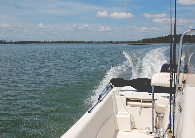 Sea Monkeys Watersports