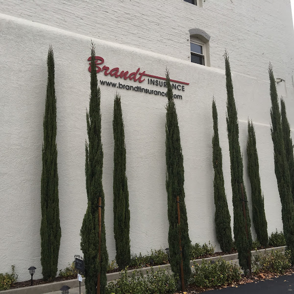 Brandt Insurance