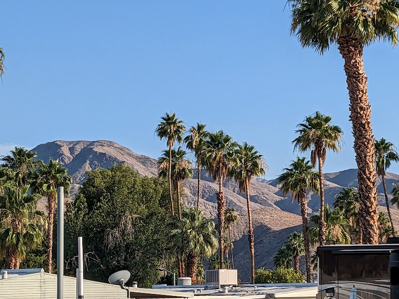 Encore Palm Springs Oasis - Campground in Cathedral City