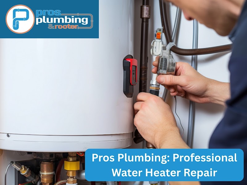 Pros Plumbing & Rooter - Plumber in Naples