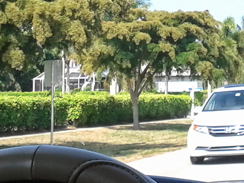 Marco Island, South Beach and Public Parking