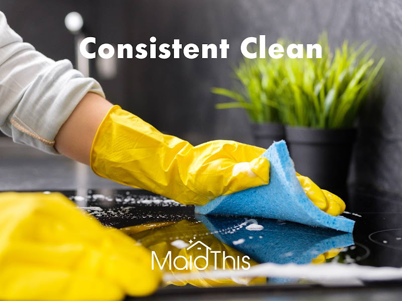 MaidThis Cleaning Downtown LA