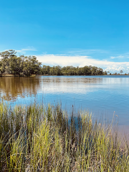 Eden Gardens State Park - Park in Santa Rosa Beach