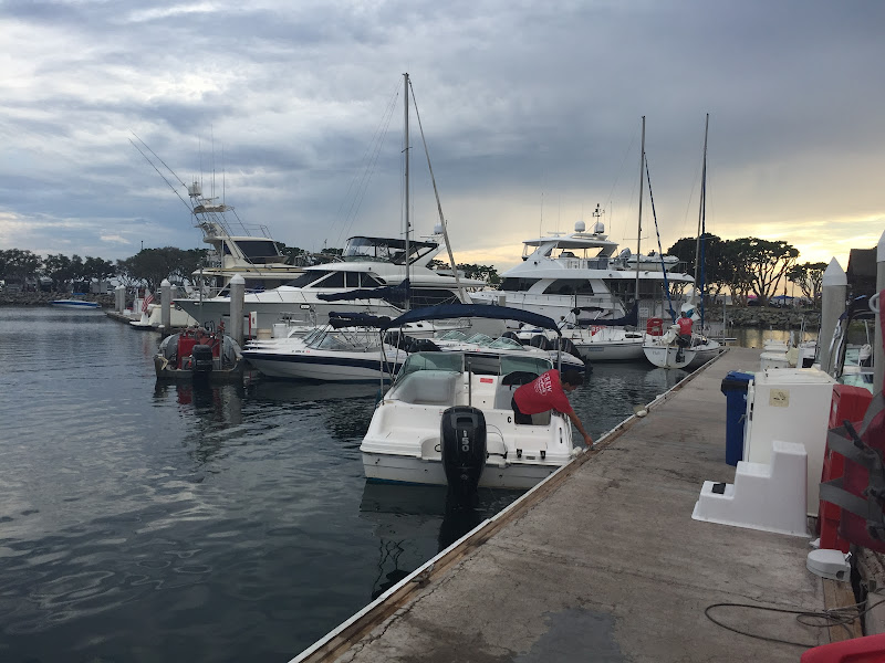 Seaforth Boat Rentals