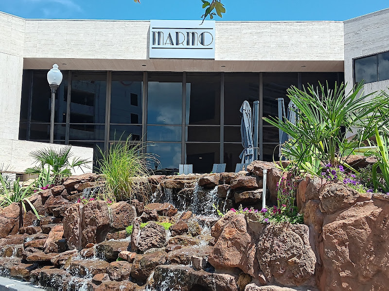 Society of Wealth - Accountant in Galveston