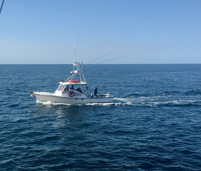 Wise Fishing Charters