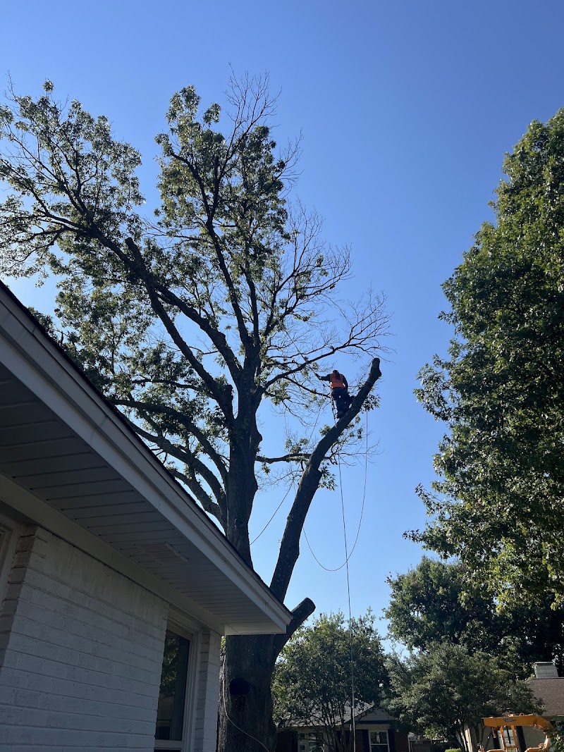 Greenland Tree Services & Landscape