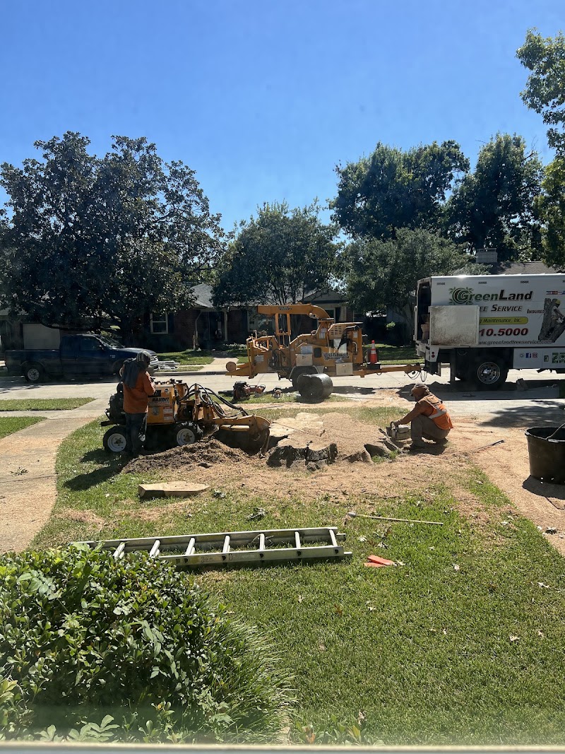 Greenland Tree Services & Landscape photo