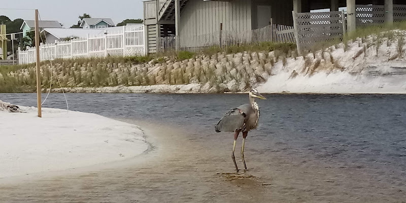 Wild life habitat - Museum in Santa Rosa Beach