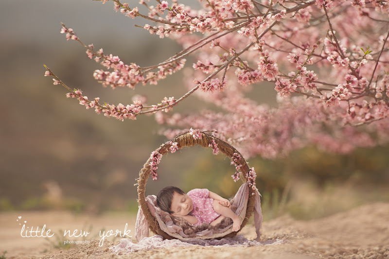 Little New York Photography - Portrait studio in Long Island City