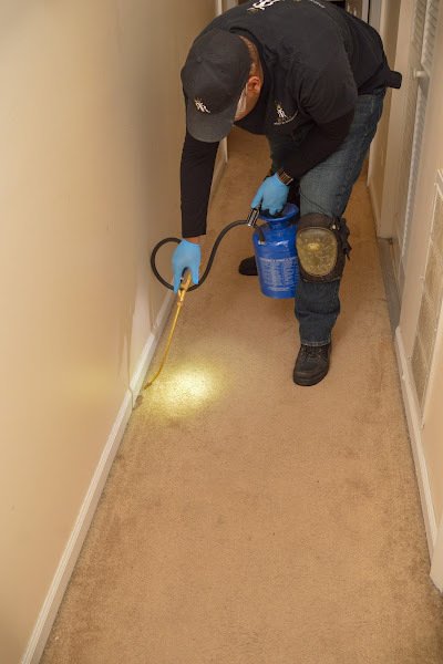 Royal Pest Elimination - Pest control service in Chicago