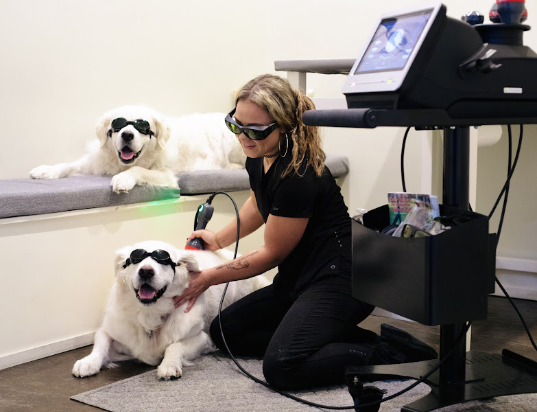 30A Vet - Veterinarian in Santa Rosa Beach