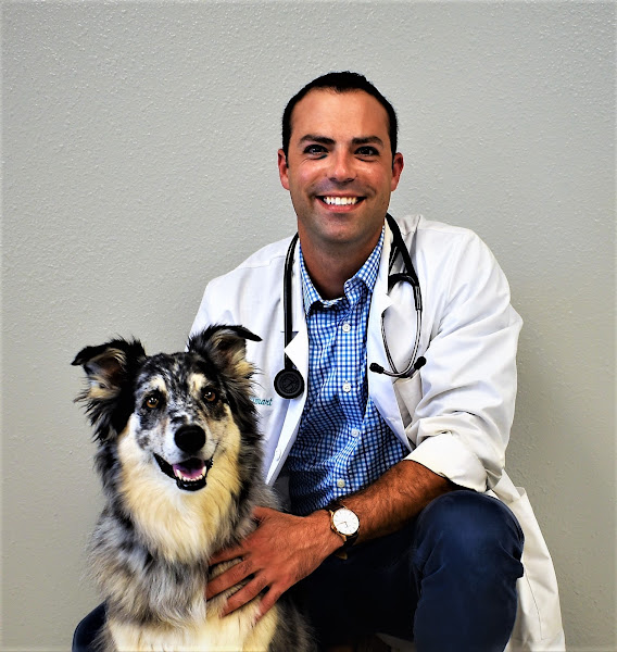 North Bay Animal Hospital