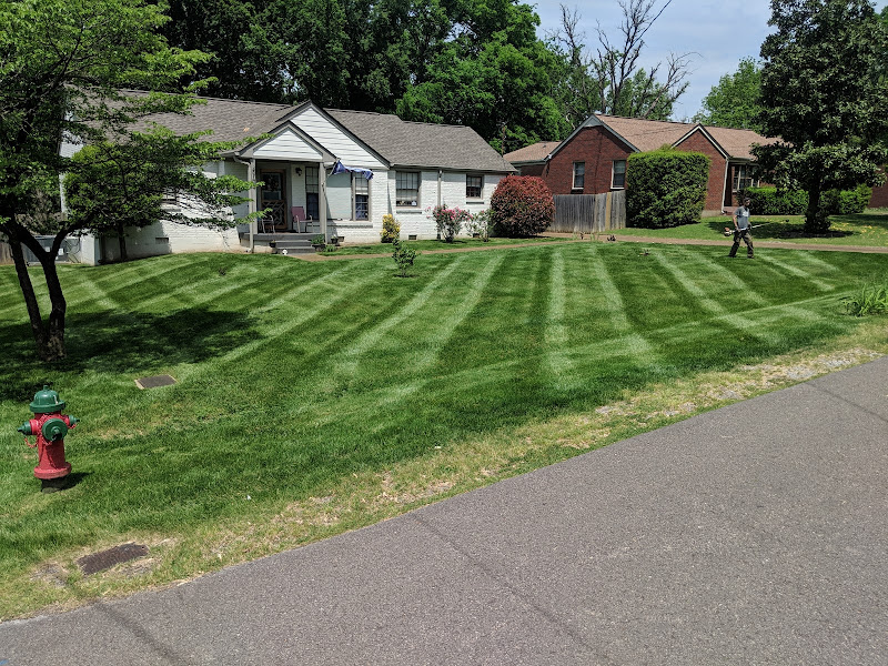 Park View Lawn Care and Landscape