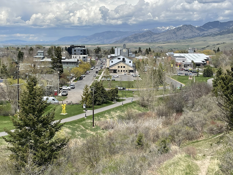 Bozeman Treehouse