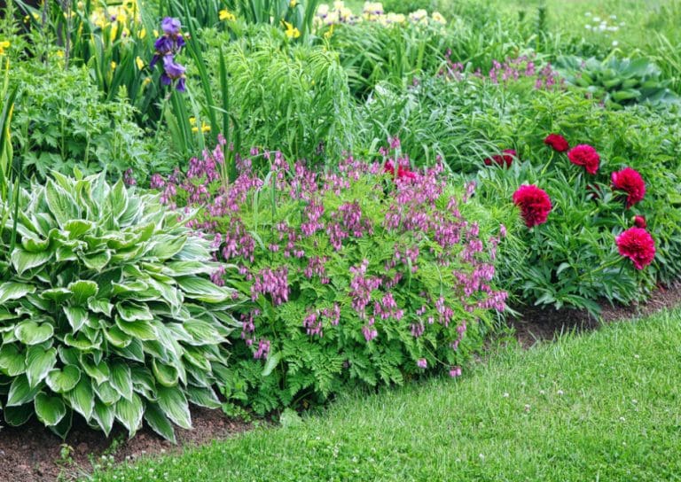 J.L.P. Services - Landscaper in South Portland