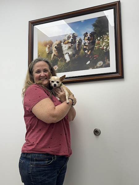 Jax Vets Affordable Animal Hospital at San Jose