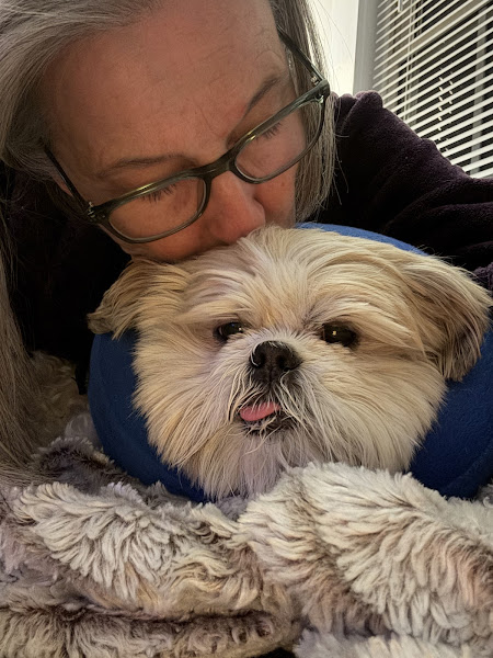 Red Bank Animal Hospital - Veterinarian in Chattanooga