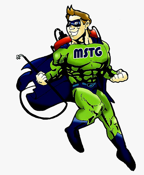 Fumigación MSTG - Pest control service in Las Palmas