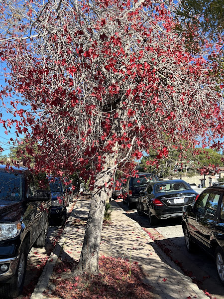 Carmel public Parking Lot - Parking lot in Carmel-By-The-Sea