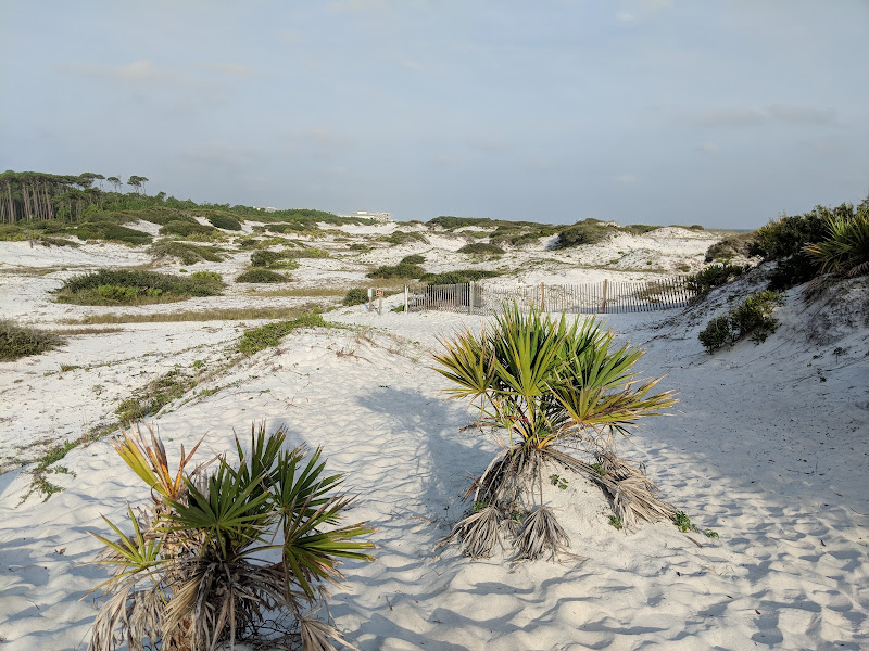 Grayton Beach State Park - State park in Santa Rosa Beach