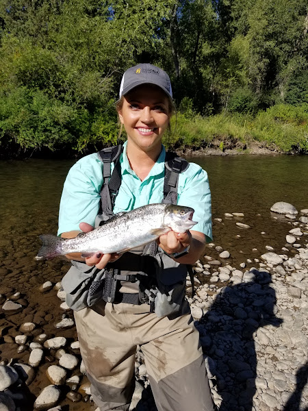 Let it Fly, LLC - Fishing store in Pagosa Springs