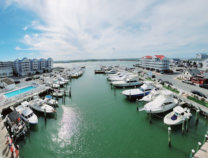 White Marlin Marina